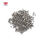 स्टेनलेस स्टील शॉट